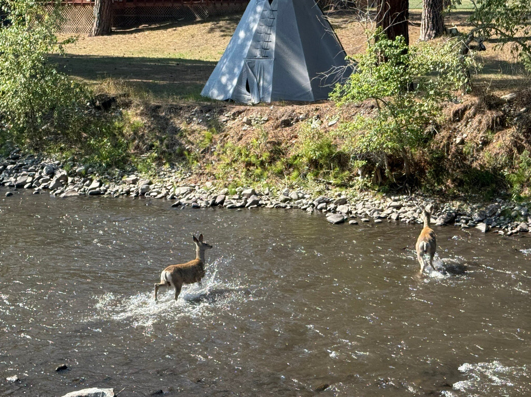 Bitterroot River Ranch主图