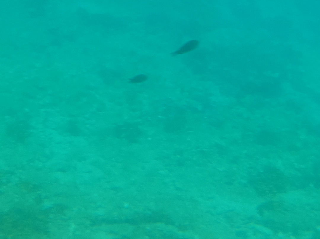 Fazana Semisubmarine-法萨纳必去景点