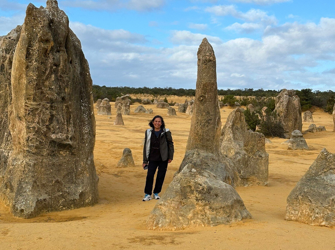 The Pinnacles Desert
