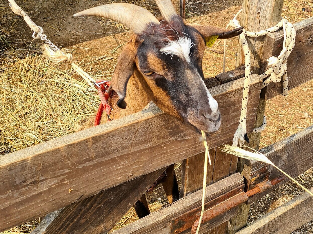 Canoa Sul Tirino - Abruzzo Wild-Bussi sul Tirino必去景点