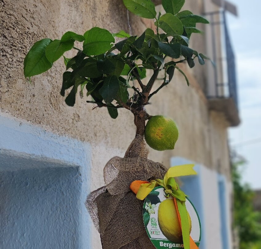 Pentedattilo-Melito di Porto Salvo必去景点