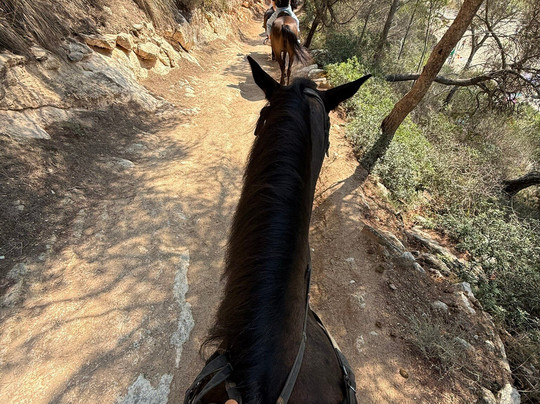 Menorca a Caballo-米诺卡必去景点