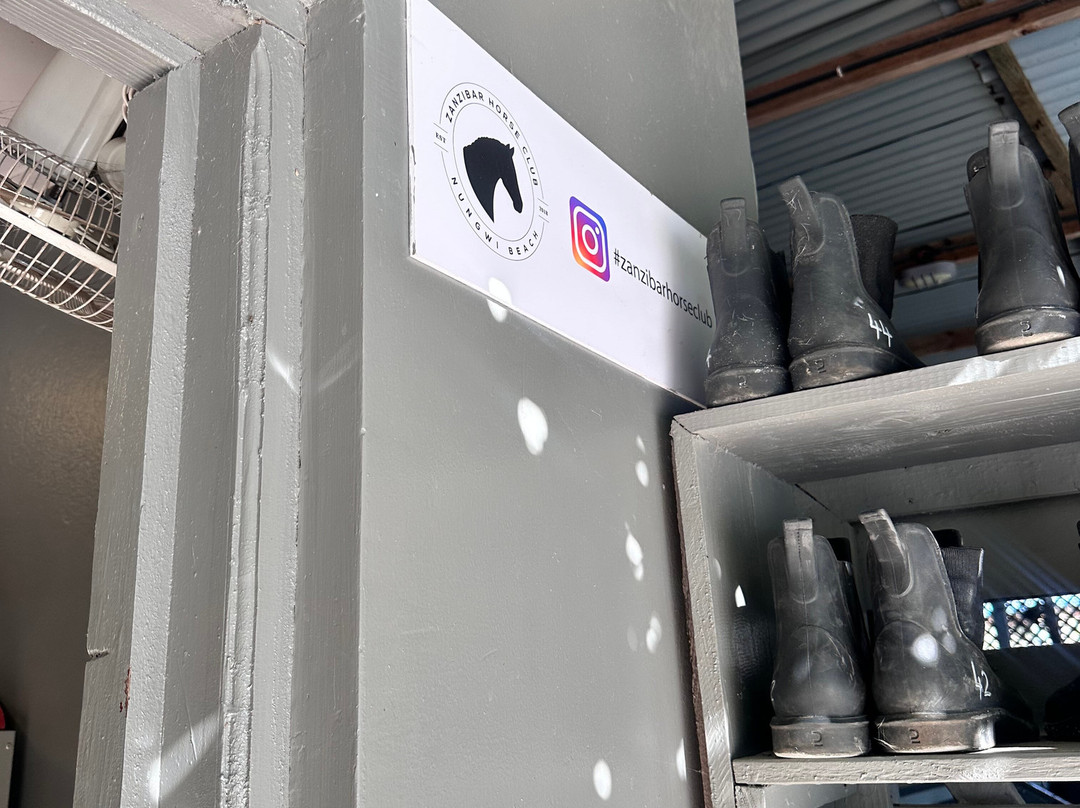 Zanzibar Horse Club-孥归必去景点