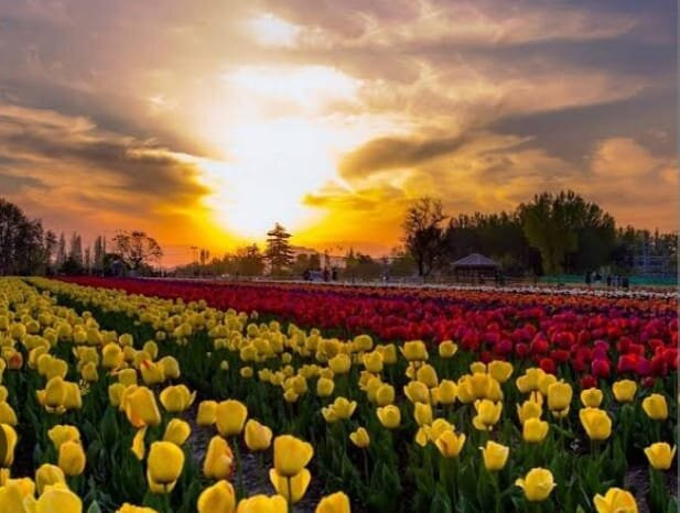 Nishat Garden-斯利那加必去景点