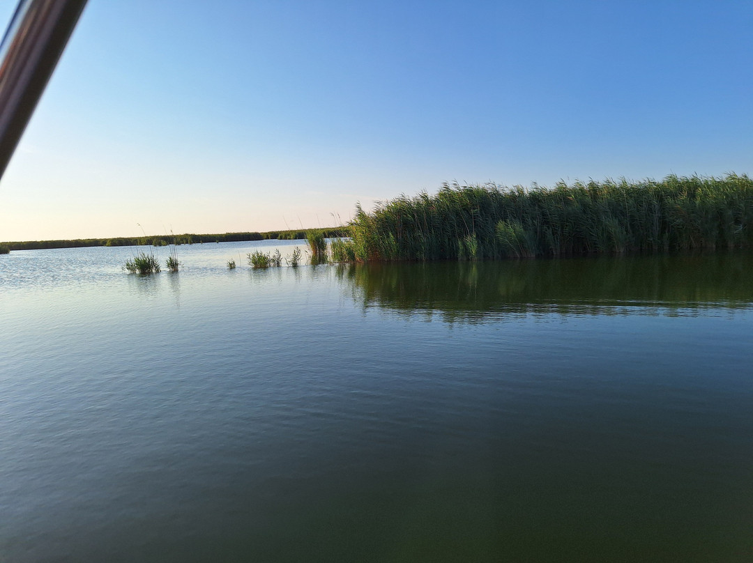 Boorstour Po Delta By Captain Fede