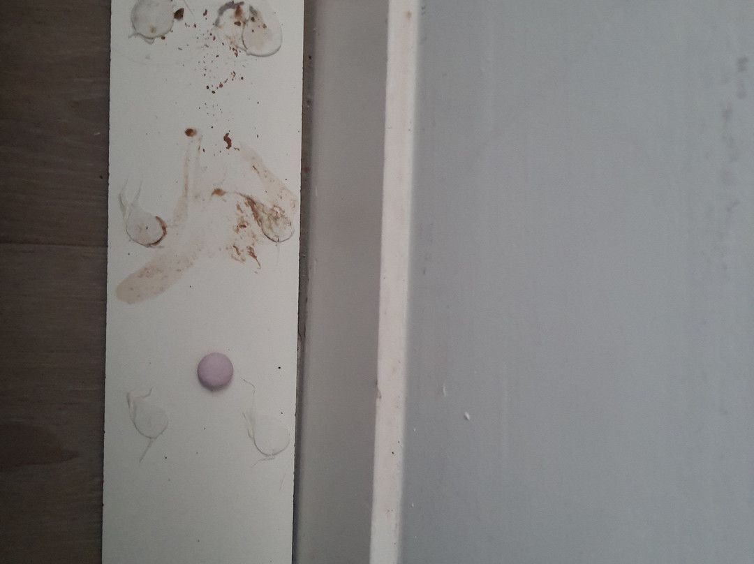 Fletcher Hotel Rotterdam-Airport主图