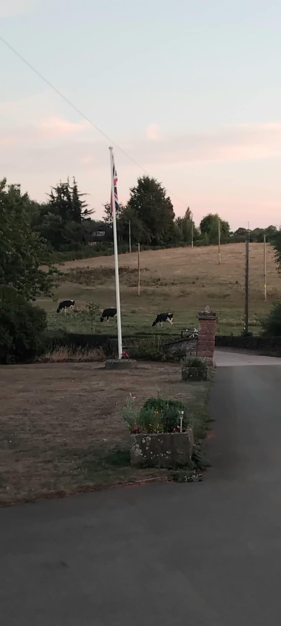 Benhall Farm-酒店景观