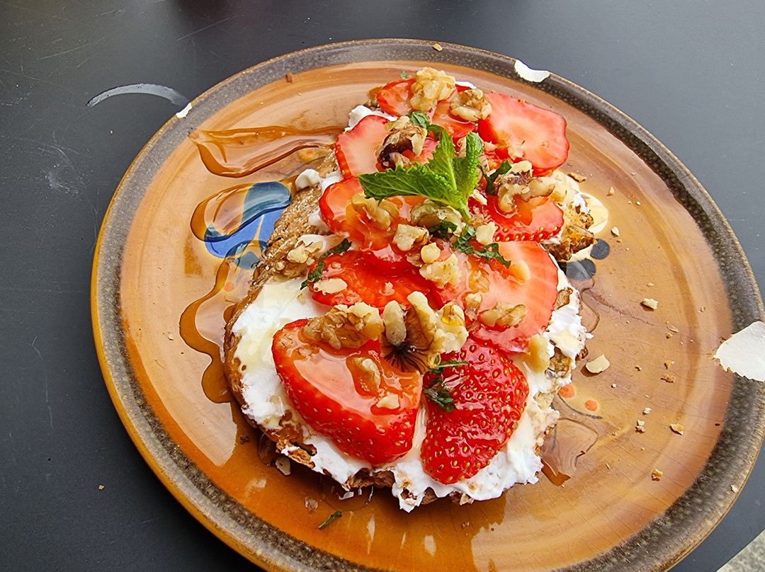 Holland Bike Tours-哈勒姆必去景点