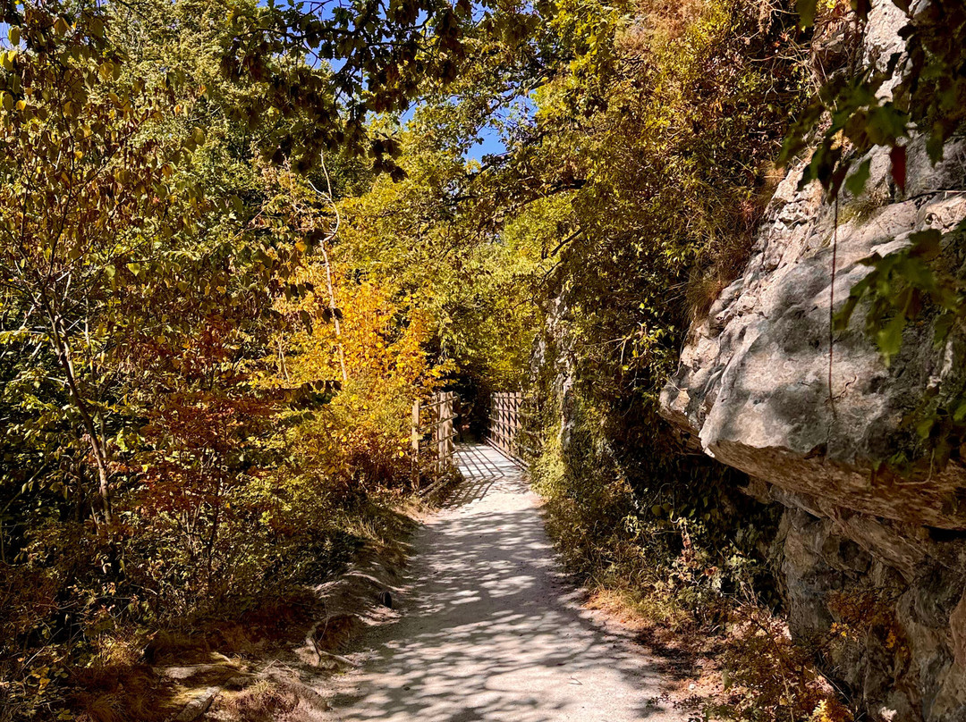 Loggerheads Country Park-Mold必去景点