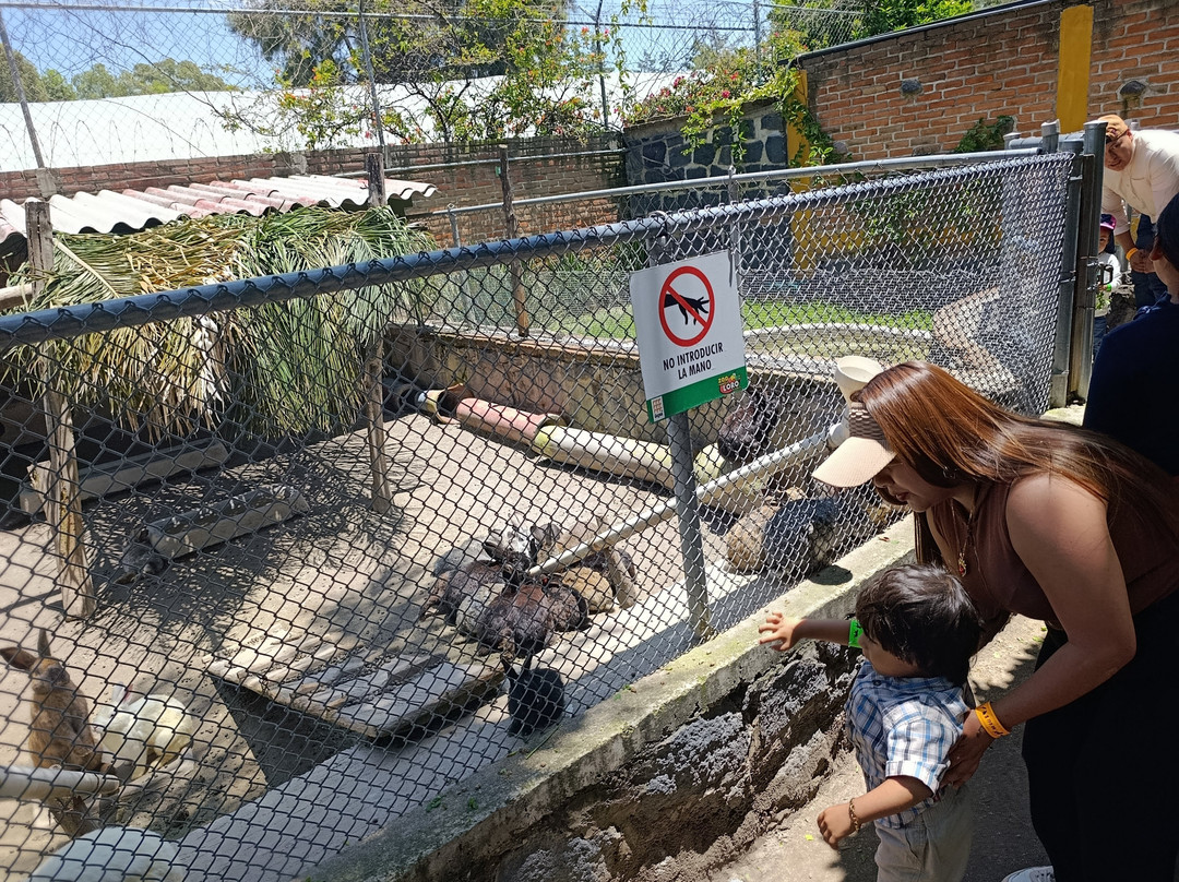 Zoo Parque Loro Puebla-普埃布拉必去景点