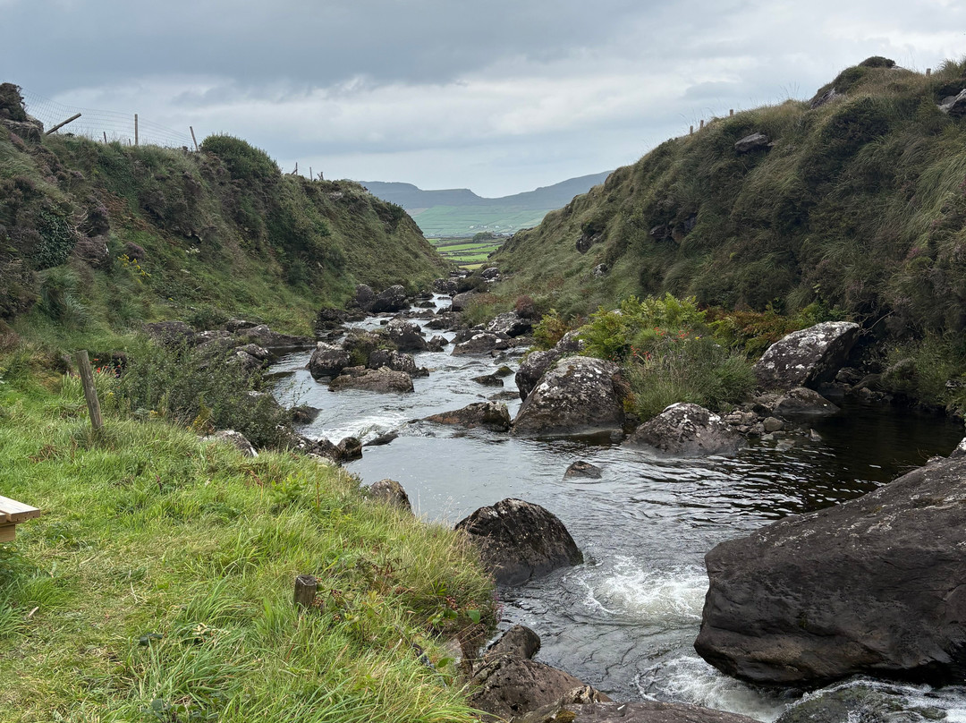 Wild Atlantic Wildlife Park-丁格尔必去景点