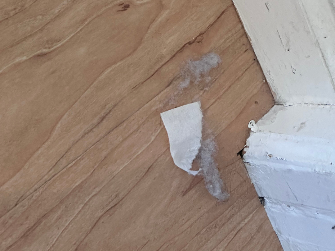 龙舌兰酒店主图