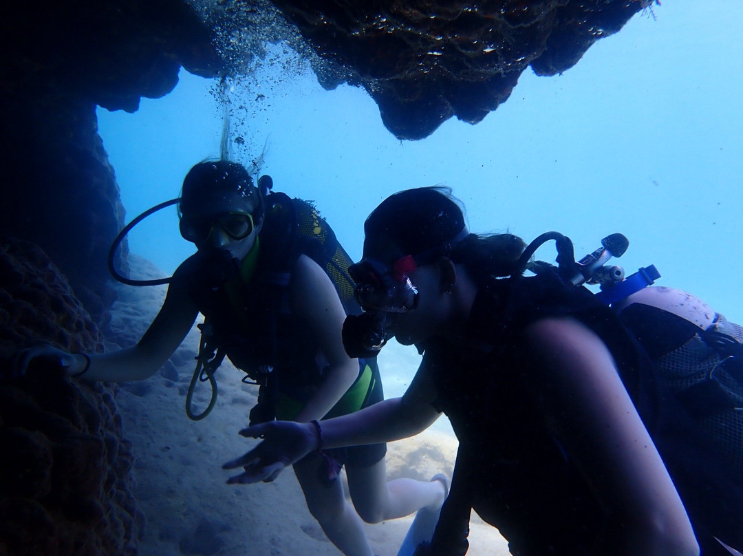 Trident Diving School-罗德斯必去景点