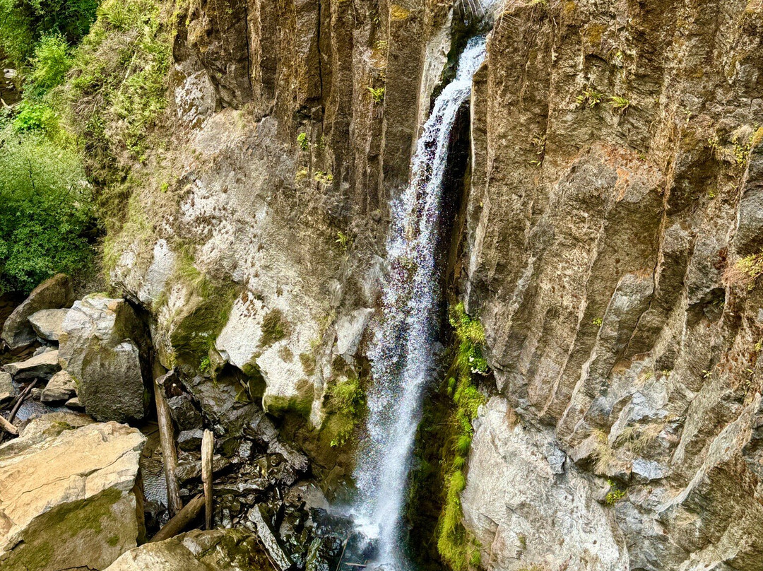 Drift Creek Falls Trail-Otis必去景点