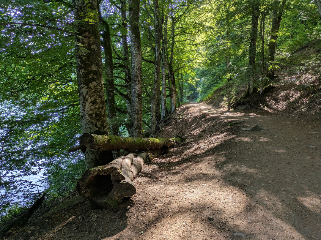 Lac Pavin-Besse-et-Saint-Anastaise必去景点