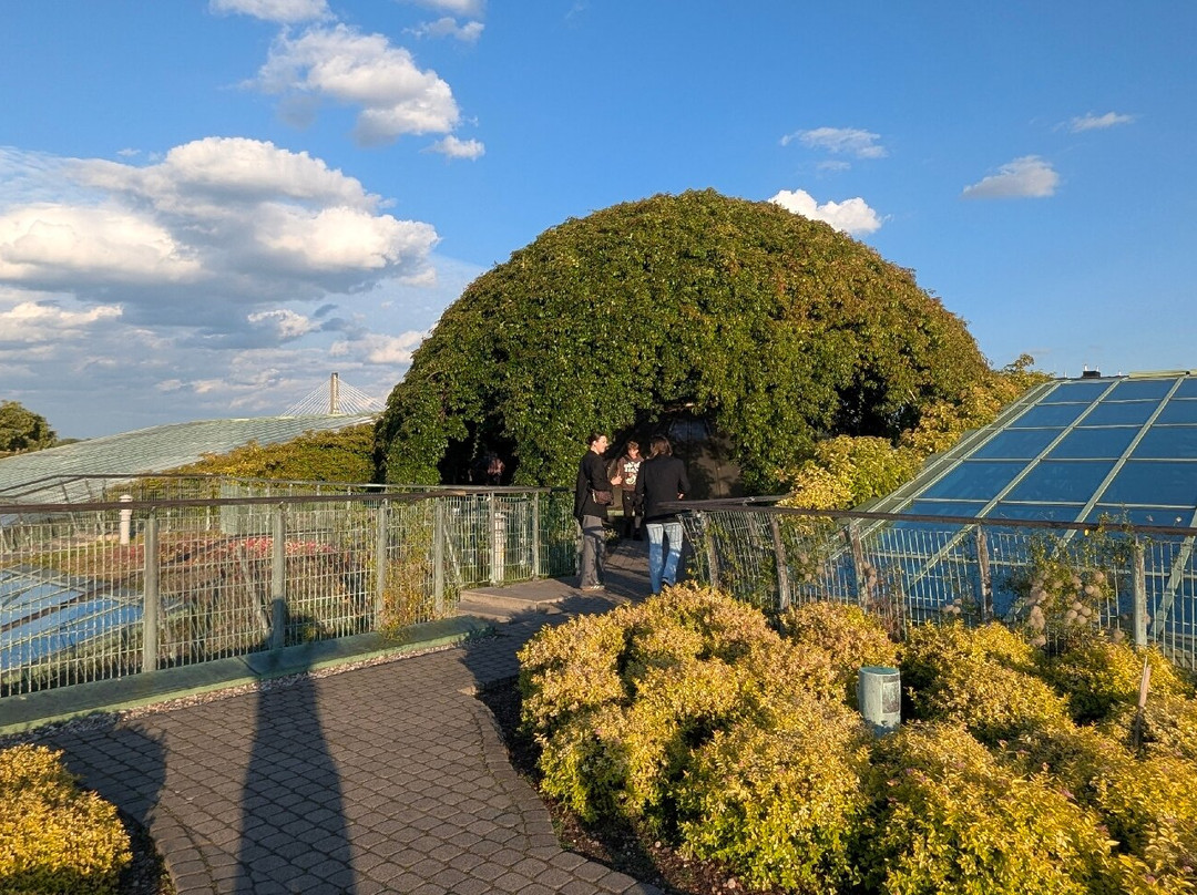 University of Warsaw Library-华沙必去景点