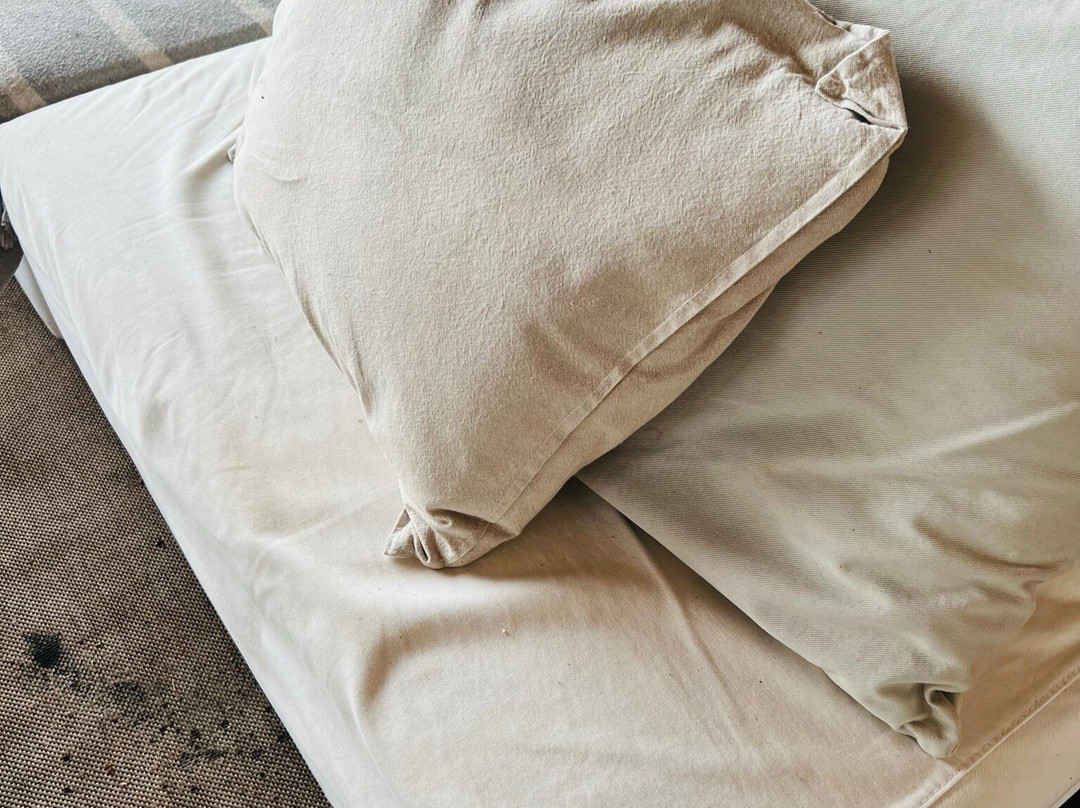 Big Bang Nature Stays主图