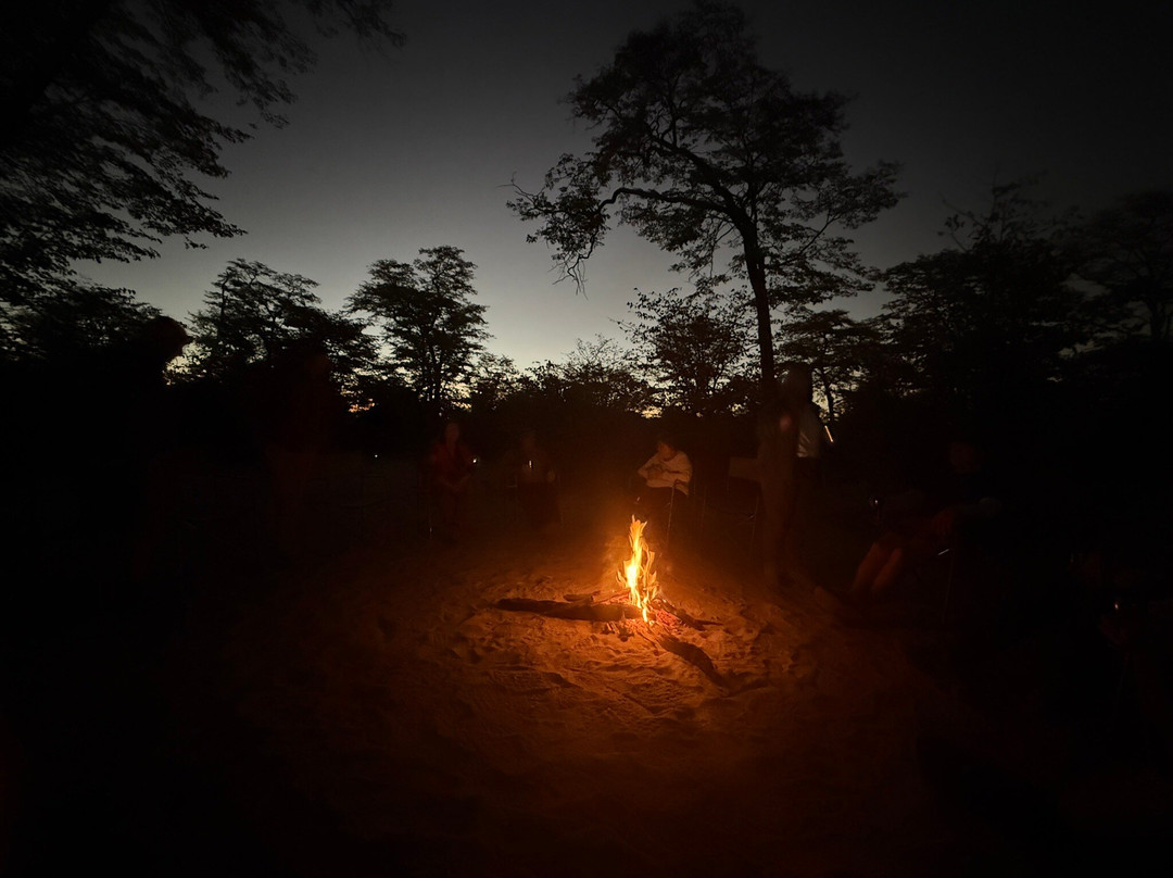 Moremi Wildlife Reserve-莫雷米野生动物保护区必去景点