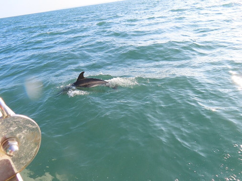 Boatsafari.co.uk-布里克瑟姆必去景点