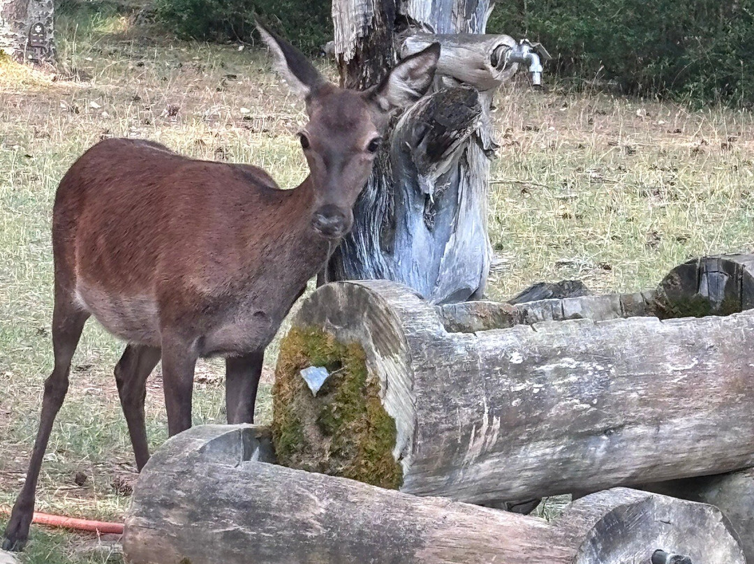 Parque del Hosquillo-拉斯马哈达斯必去景点