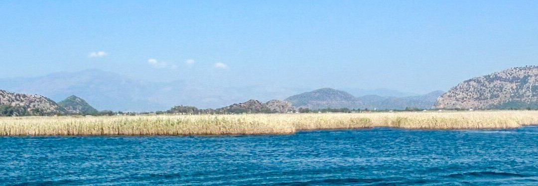 Dalyan Yemekli Tekne Kooperatifi - Dalyan Catered Boat Corporation-达利安必去景点