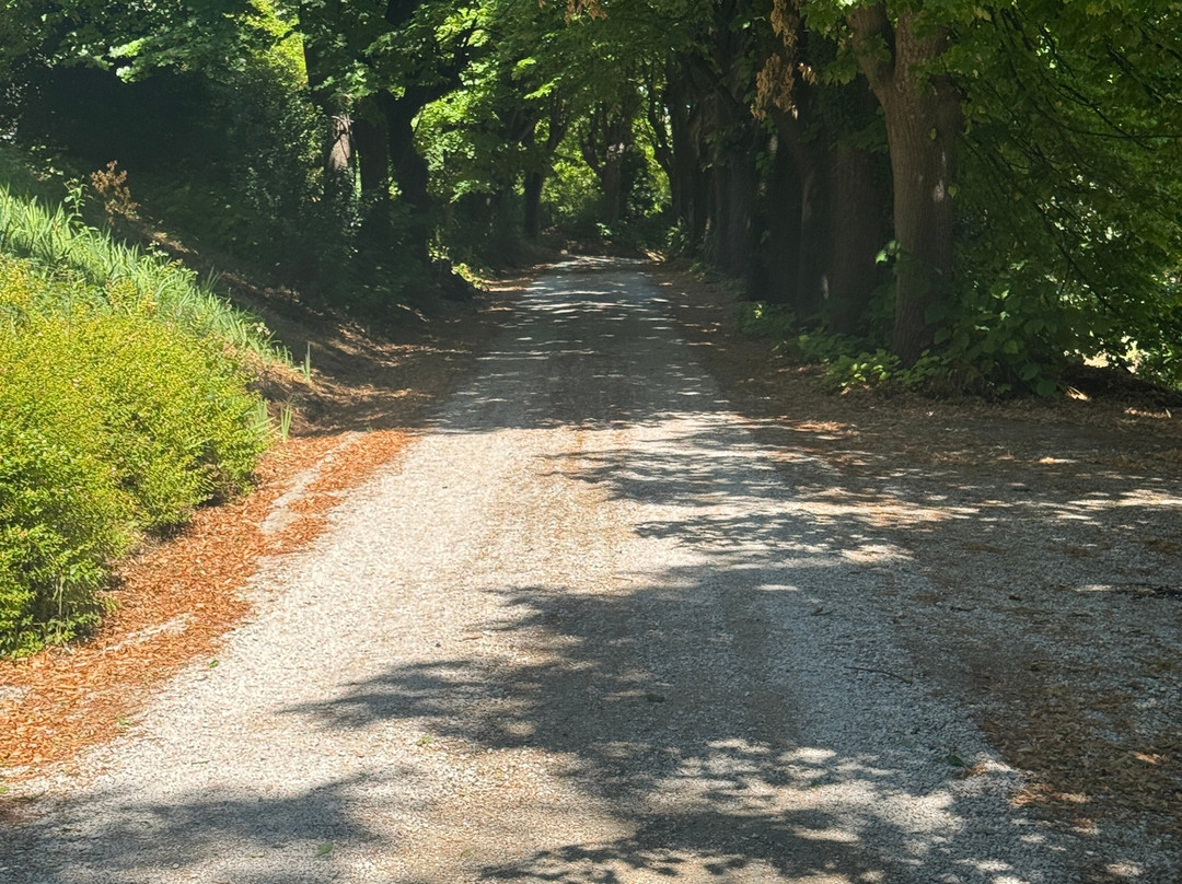 Villa Mariotti/Agriturismo Monte Giove主图