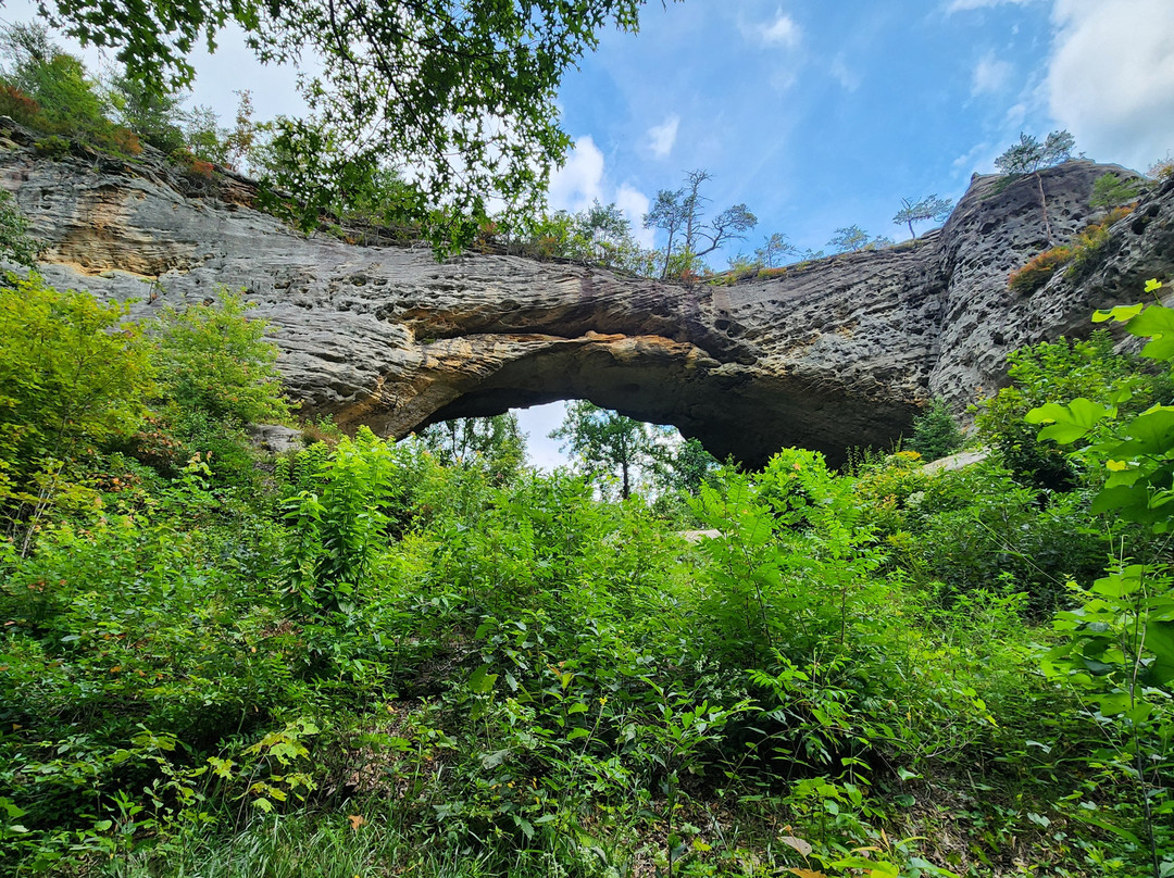 Cumberland Falls Farm-Corbin必去景点
