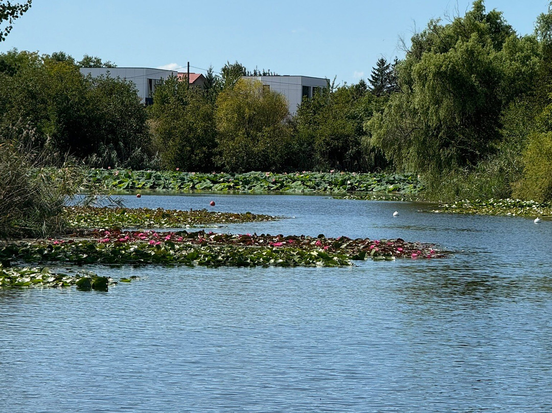 Stand Up Paddle Adventure-斯拉戈夫必去景点