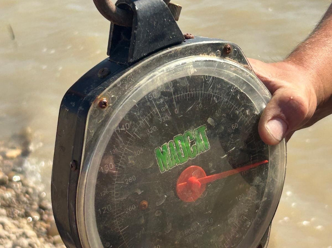 River Ebro Catfishing Holidays-Caspe必去景点