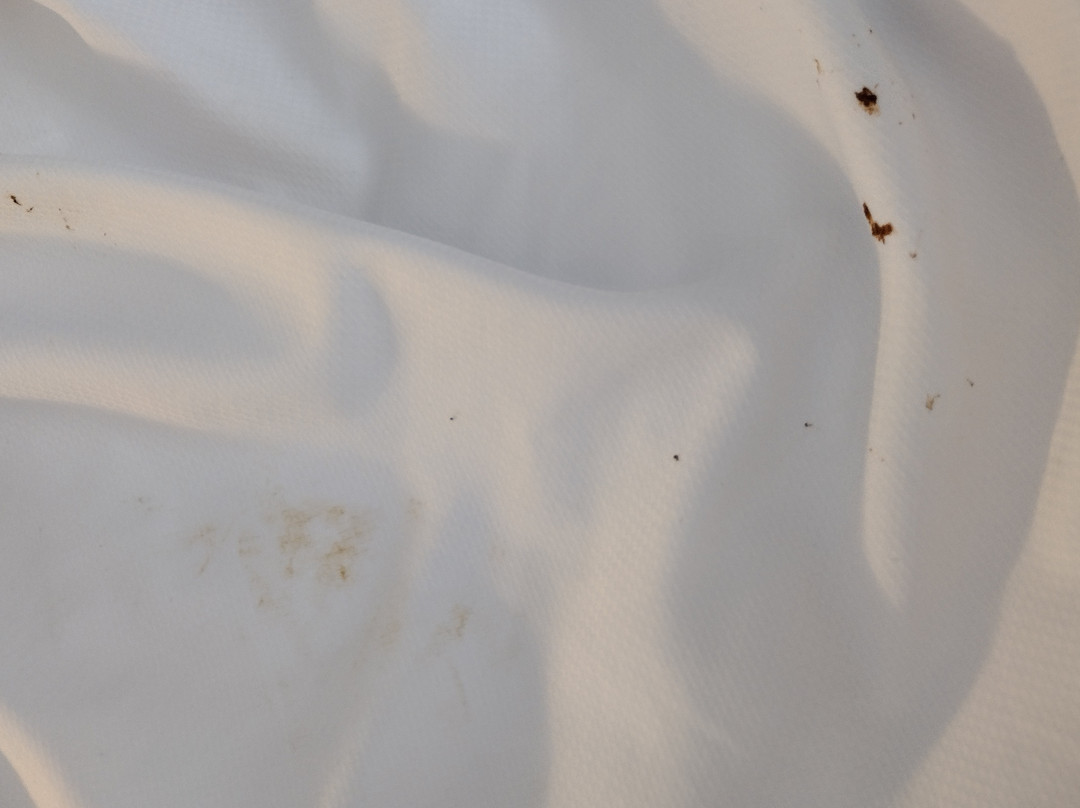 品质套房酒店主图