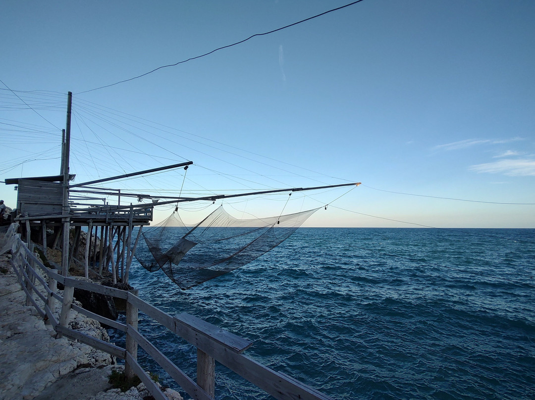 Trabucco Di Punta San Francesco-维耶斯泰必去景点
