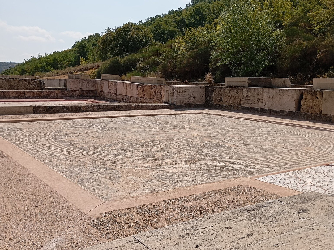 Palace of Aigai-Vergina必去景点