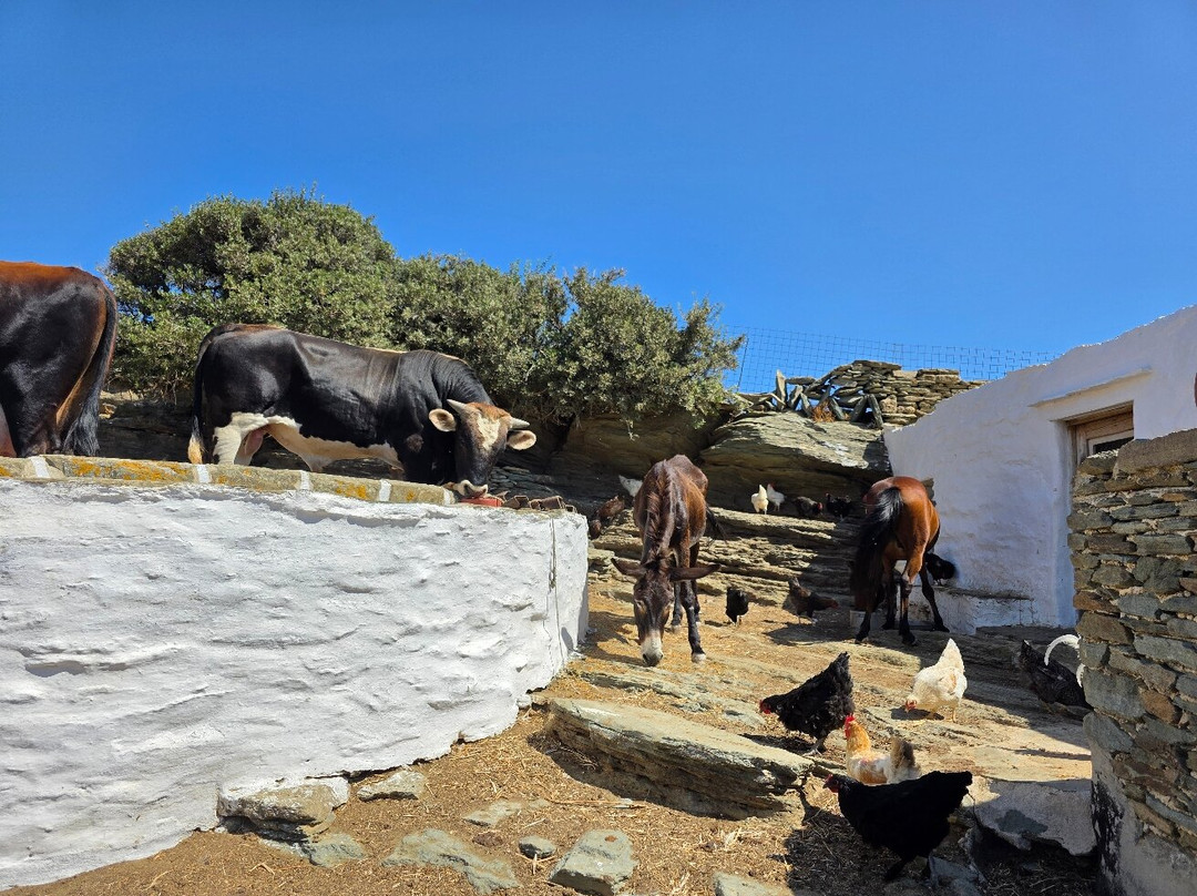 Loumidis Family Farm