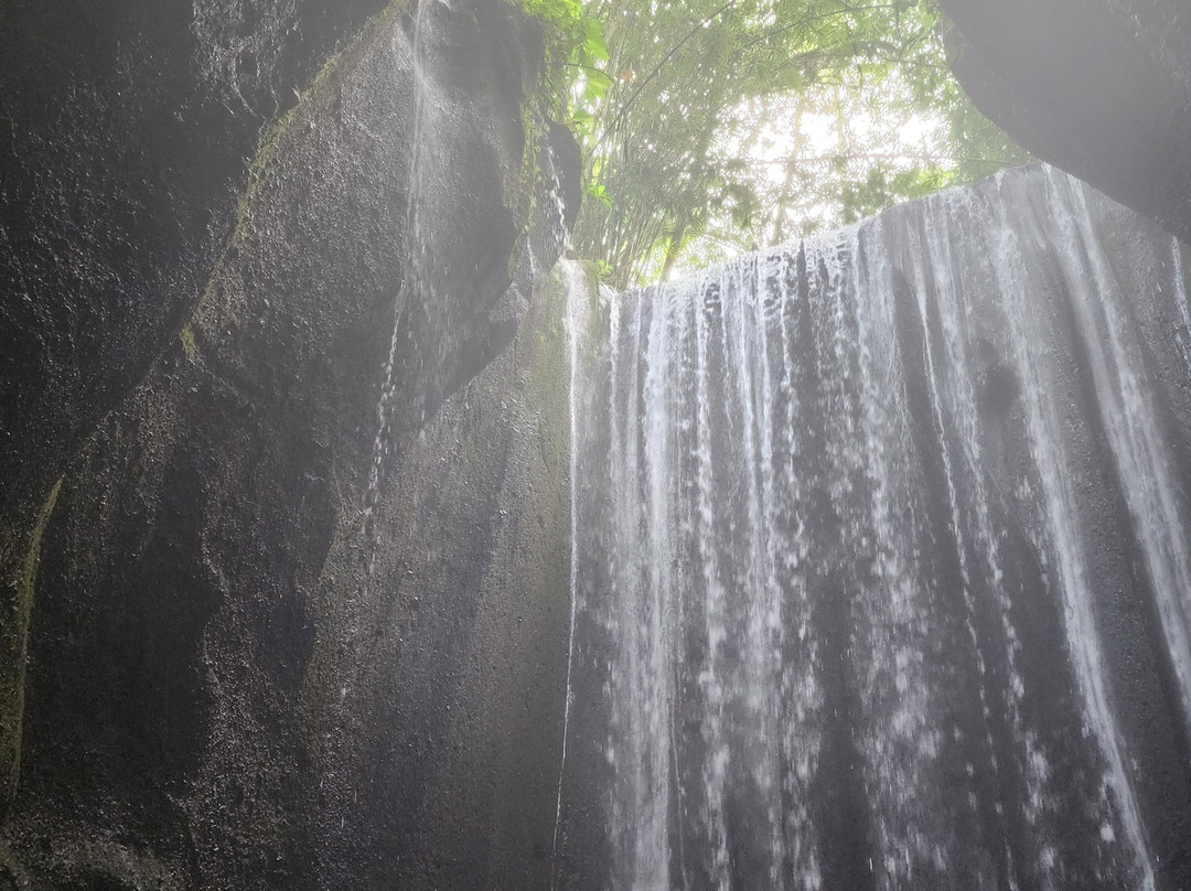 Ubud Private Driver (Made Ada) - Day Tours-德格拉朗必去景点