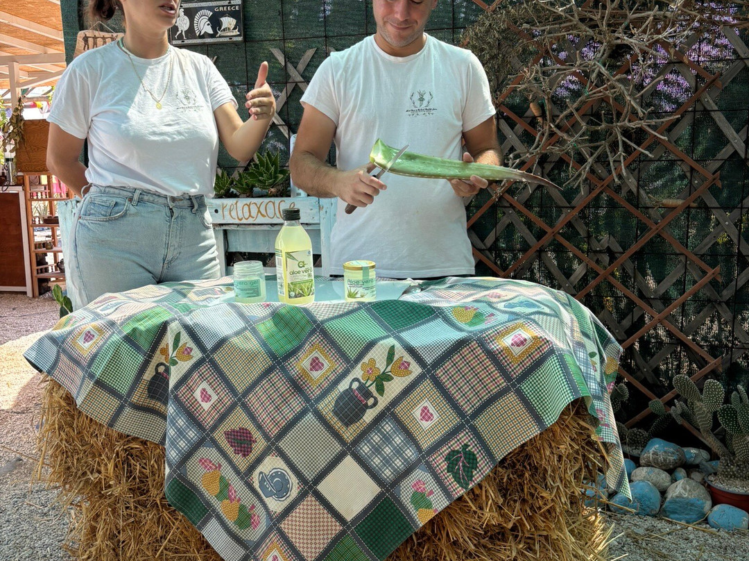 Aloe Vera & Herbal Health Farm-Fanes必去景点