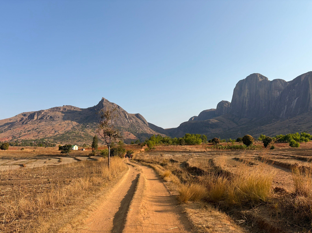 Mad Trekking