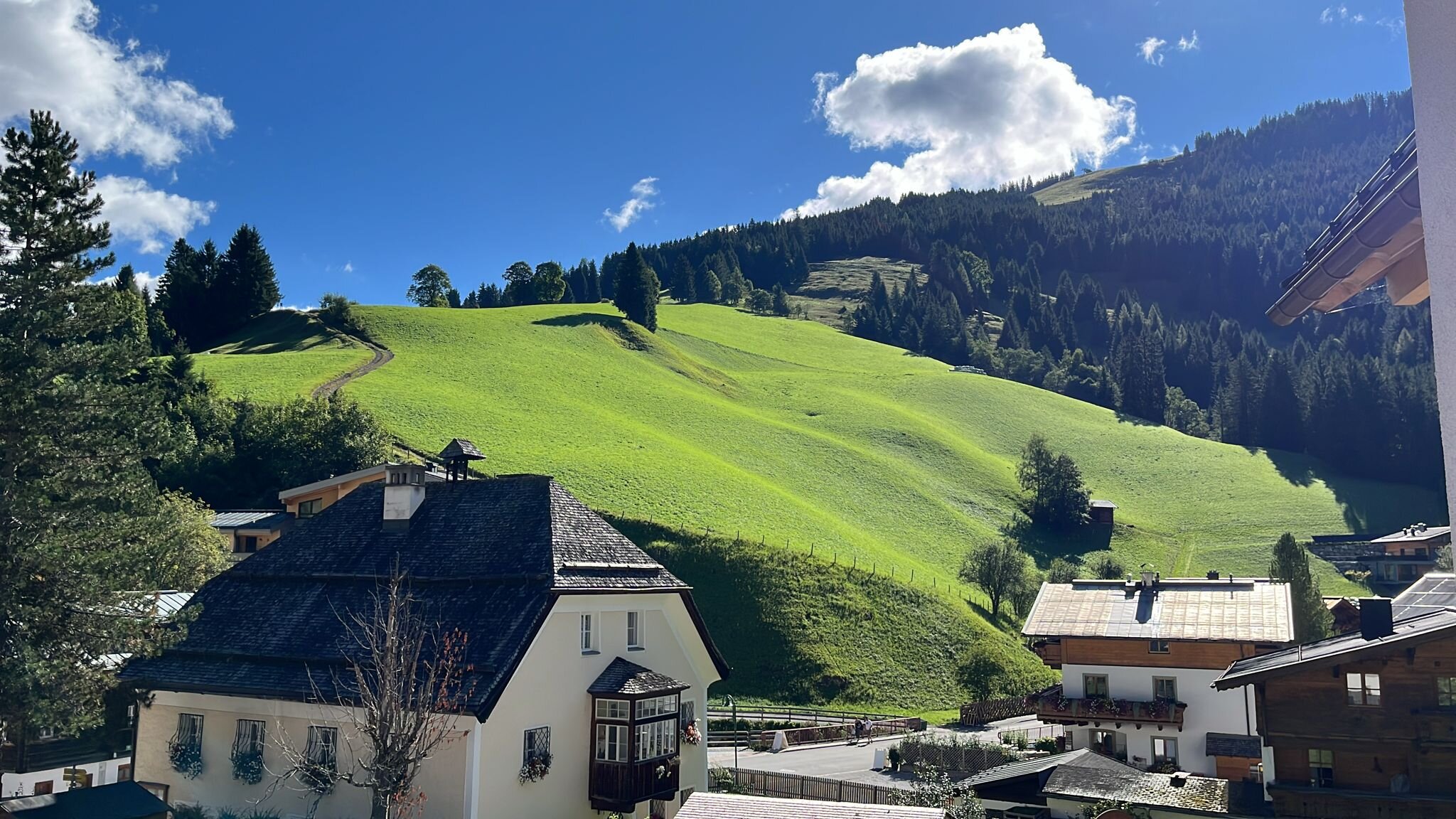 Almhof Alpin Apartments & Spa-浴室