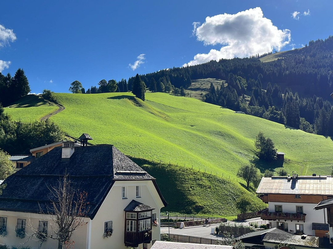 Almhof Alpin Apartments & Spa主图