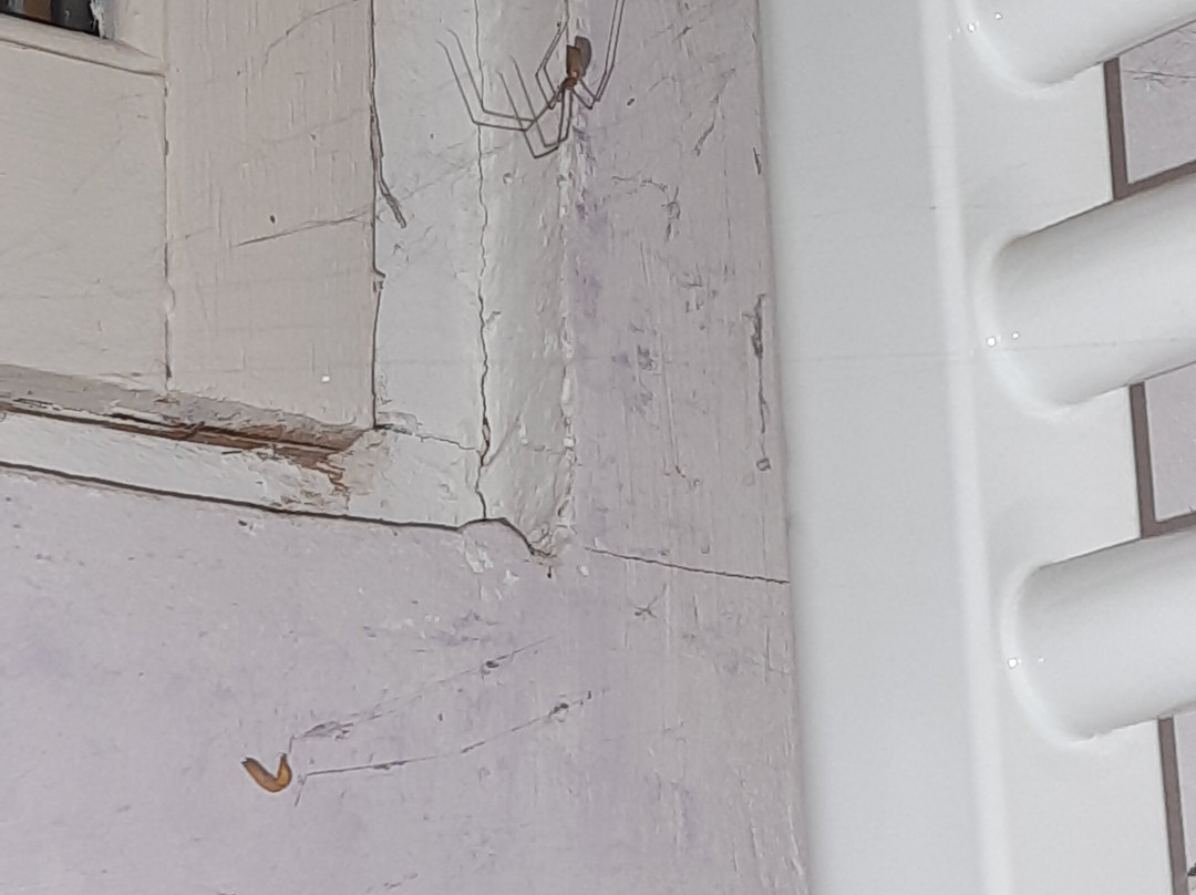 Le Meix Des Fort主图