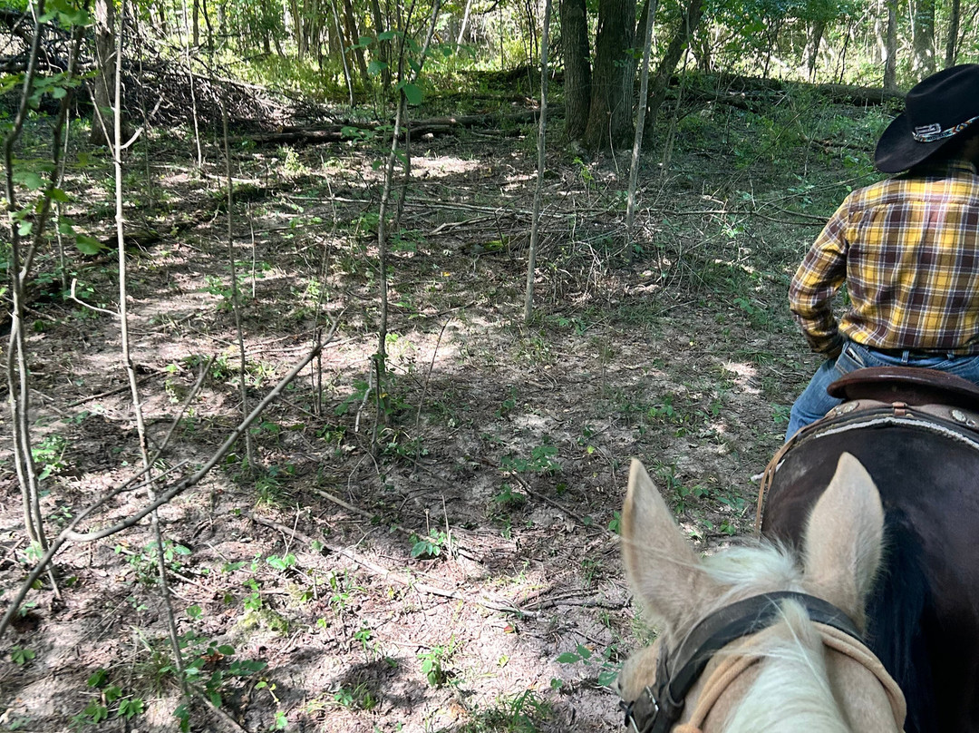 Marmon Valley Farm-Zanesfield必去景点