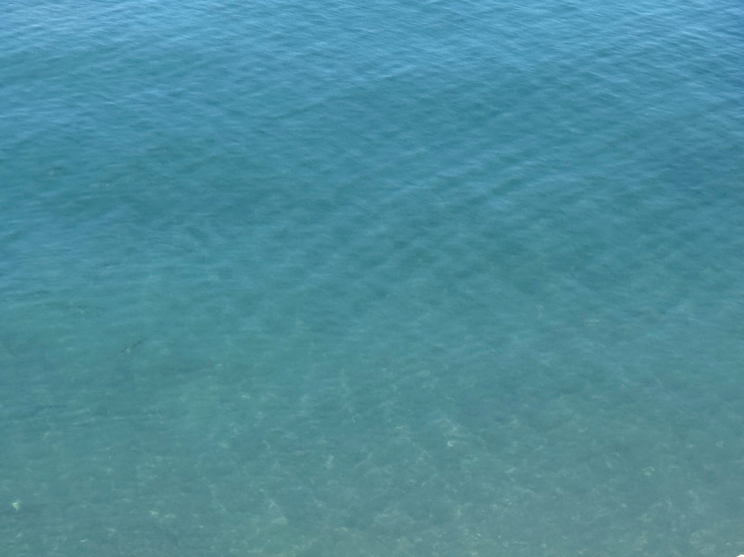 Lake Bluff Inn and Suites主图