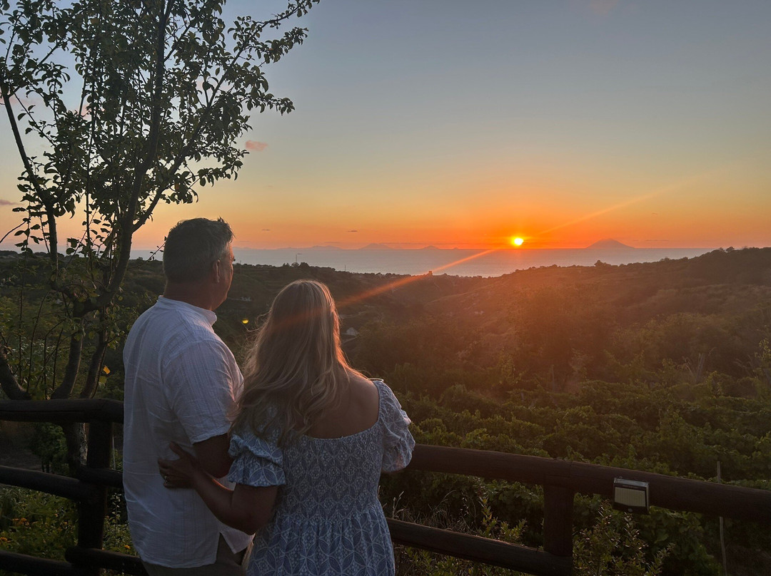 Cantina Masicei-Brattiro必去景点