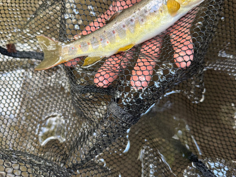 FLY FISHING SICILY outdoor experience-卡塔尼亚必去景点