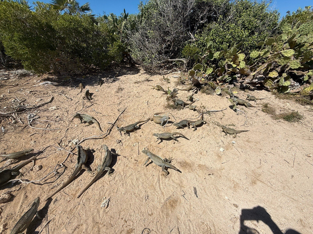 Fast Track TCI-普罗维登西亚莱斯必去景点