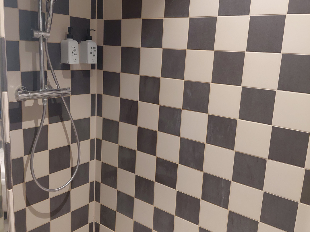 Scandic Falkoner主图