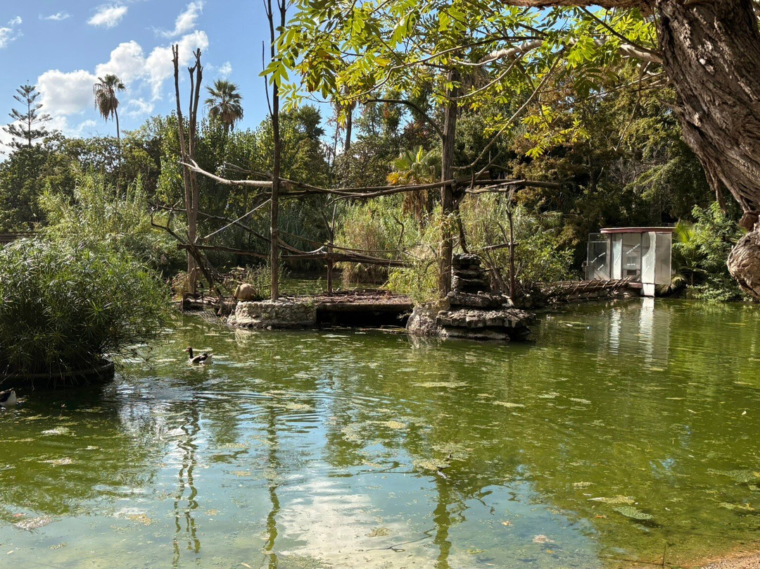 Lo Zoo di Napoli-那不勒斯必去景点