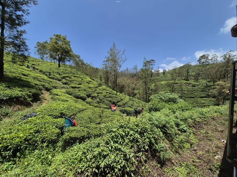 Reiseleiter Sri Lanka-科伦坡必去景点
