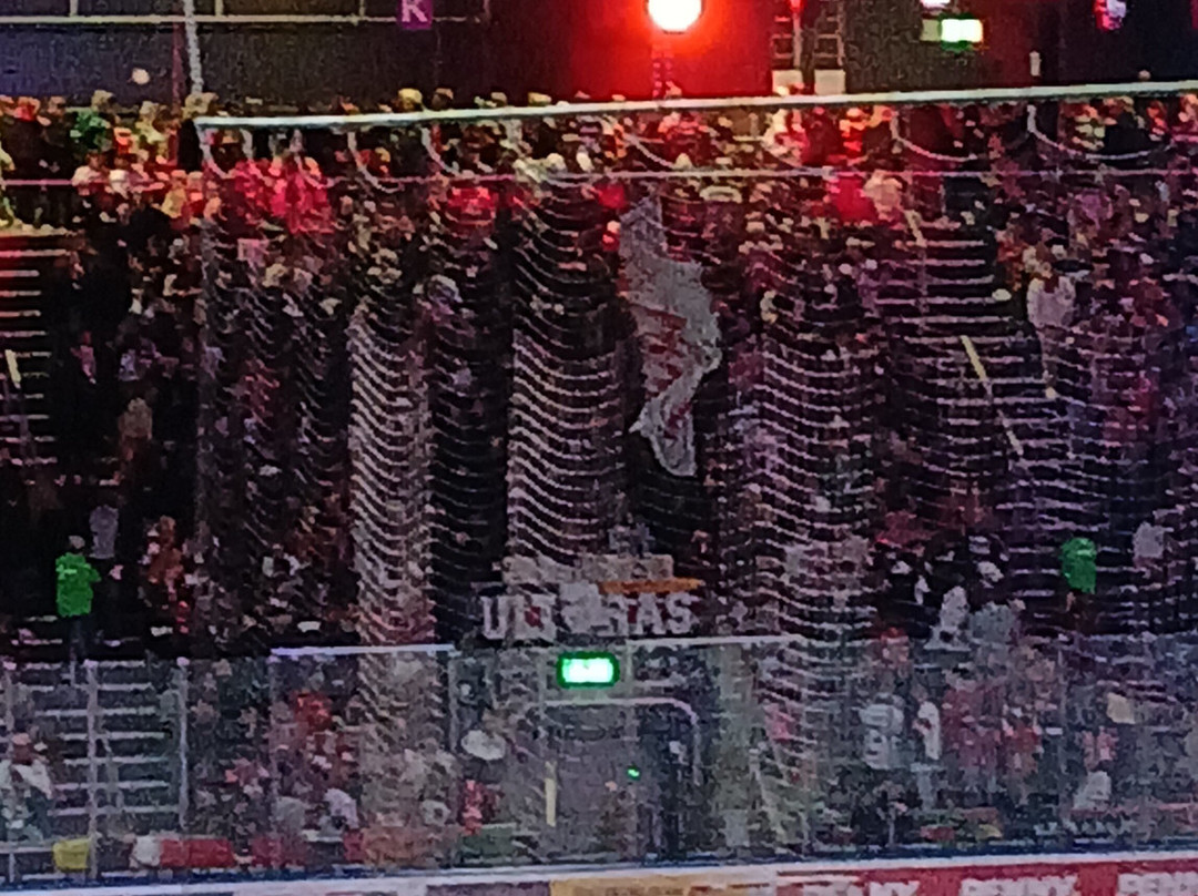 Curt-Frenzel-Stadion-奥格斯堡必去景点