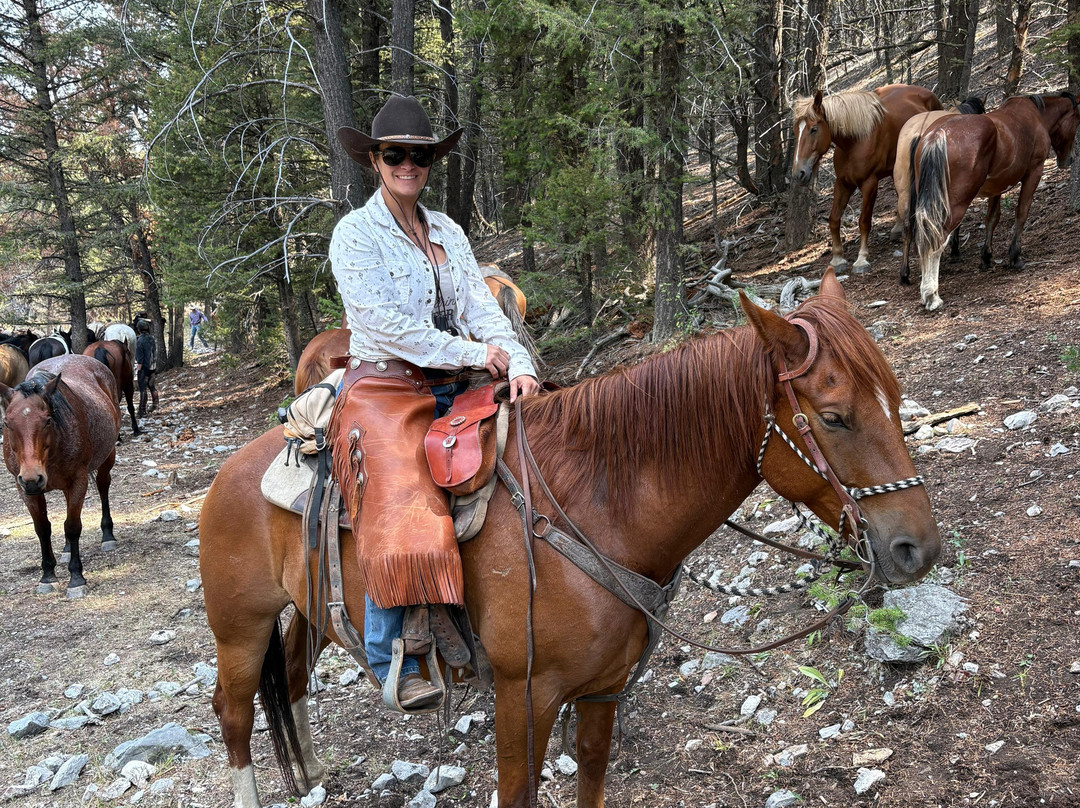 Silver Spur Ranch Idaho-Dubois必去景点