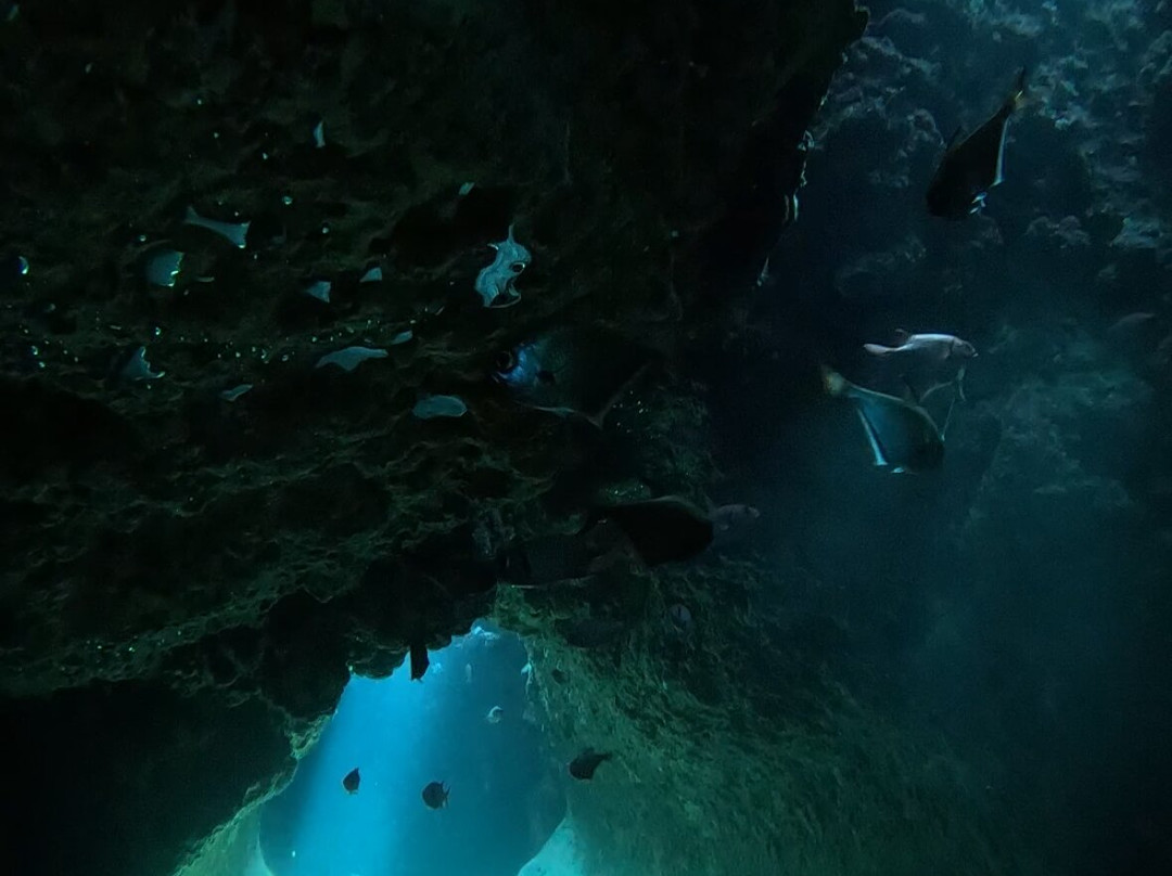 Miyakojima Diving Shop Guide-Ya-San-宫古岛市必去景点